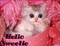 Sweetie - This is my own interest,created by myself.I admire me and that's why,i started 'SWEETIE' here!if you admire me,you can join here too!