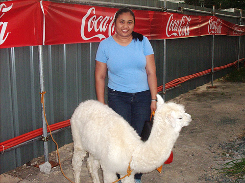 Alpaca - Cathy with Alpaca