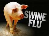 Swine Flu - Swine influenza (also called swine flu, hog flu, and pig flu) is an infection of a host animal by any one of several specific types of microscopic organisms called 'swine influenza