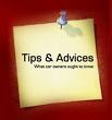advices - Best Advices Can Be Found Here In Mylot?