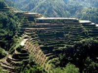 Rice Terases - Rice terases is built by Ifugao of the mountain province. It is one of the Philippines wonder. It was made by the hand of the mountain native people in order for them to plant rice and vegestable for food.