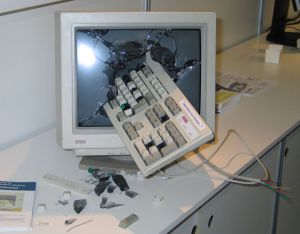 Break the Computer - What you would want to do when you're computer freezes, loses your files, or do whatever it does to annoy you.