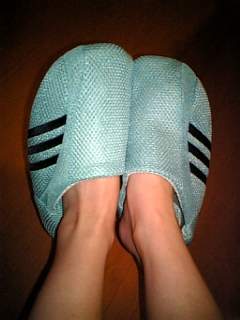slippers  - just a slippers