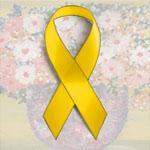 yellow ribbon - symbol for democracy