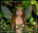 Fairy - A fairy from Disney