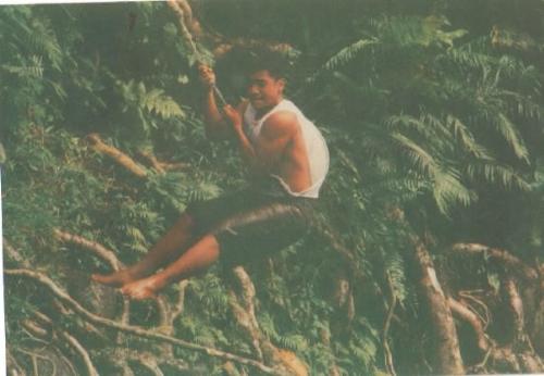 Tarzan of the jungle - old pic of me swinging in the jungle!