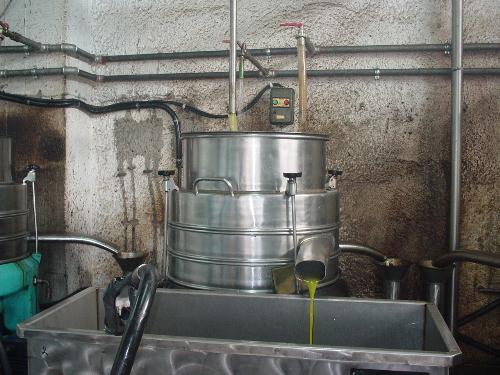 the local olive press - the local olive press with the first oil
