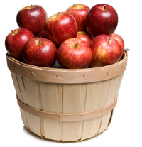 An apple a day keeps the doctor away. - Apples and all the other good fruits and vegetables out there to make us healthy