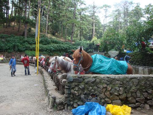 Wright Park Baguio City - picture taken at WRIGHT PARK Baguio City
