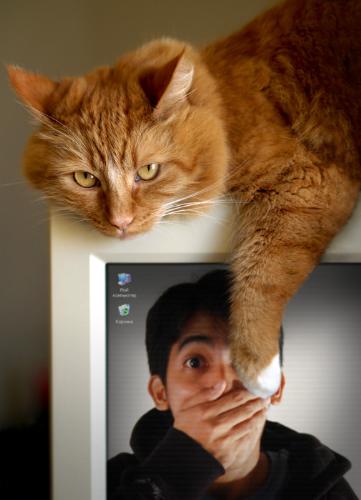 Photofunia Pic - my favorite photofunia pic.