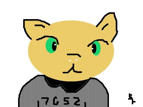 Bad Cat - That is the lamest excuse I've ever been treated to, blaming the cat for downloading illegal pictures?