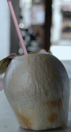 Coconut Drink - A Refreshing drink from a cococnut - palm tree.