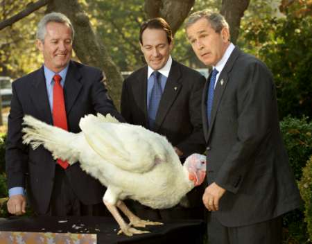 Bush Pardons Thanksgiving Turkey - us prez in trouble
