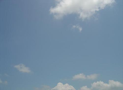 Life spent looking at the sky - Can't help but think about life when staring up at the bright blue sky
