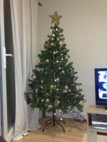 christmas tree - a picture of my christmas tree from christmas 2007