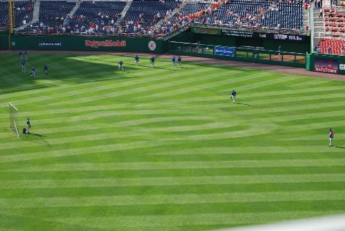 Curly W Grass Design - Curly W Outfield grass design at Nationals Park, July 2009