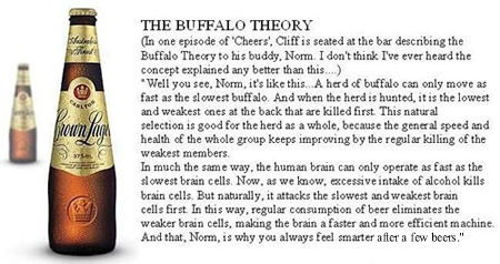 The Buffalo Theory - n amazing theory