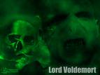 dark lord - this is lord voldemorts rising.that graveyard and that cauldron,and after that with fles blood and bone the red eyed lord voldemort with his high cold voice and slits for nostrils arose.all hail the great lord,here played by ralph fiennes.