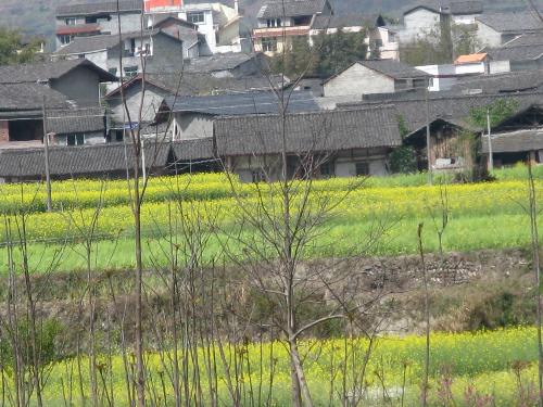 PingWu,Cichuan,China - Spring of Pingwu,Cichuan,China