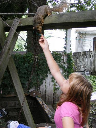 Friendly Squirrel - Here's peanut on the swing post. He loves to sit on it and eat his peanut snacks with us while we eat ours. He buries several nuts, too, and comes back for more.
