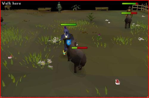 Cow kill - Killing a cow on RS