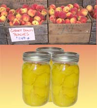 Canning Peaches - Canning peaches can be very easy and quite rewarding when you have a taste for peaches in the dead of winter. Here is how we do it at DinnerPlanner.