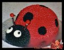 Here is a Lady Bug Birthday Cake for Cats...... - Here is a Lady Bug Birthday Cake for Cats......