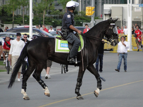 Me on my patrol horse - This was back when I was doing work on patrol on horse back. We had to break up crowds many times while on horse back.