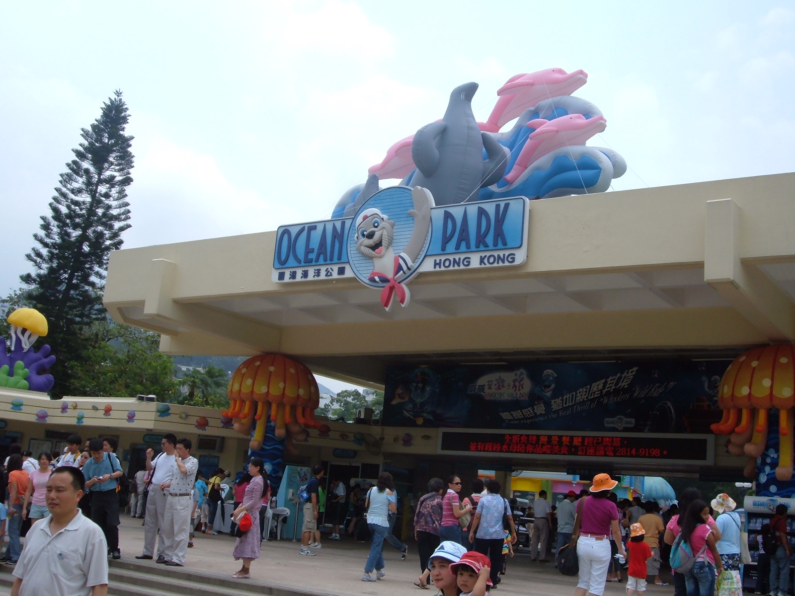 Ocean Park - Hong Kong - Like what the drama series always show