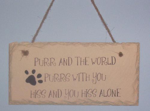 isn't this the truth?! lol - My sister in law gave this to me. I love it!! lol