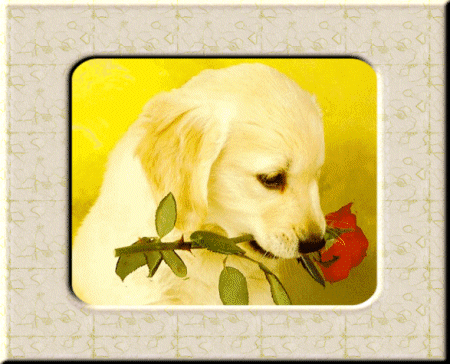 Present For You - Do you like?