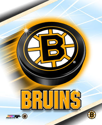 Boston Bruins Logo - Logo of the hockey team, The Boston Bruins.