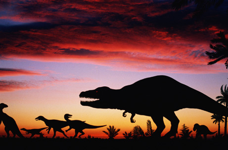 Dinosaurs - Extinct huge reptiles. Dinosaurs - Extinct huge reptiles.