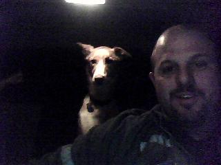 Abby the Dog in the backseat. - A picture of the dog in the backseat I took using the webcam on a Toshiba Satellite laptop.