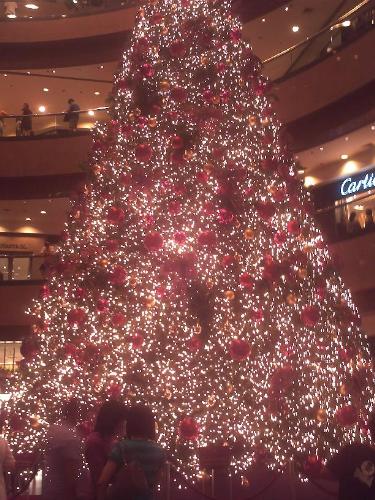 Christmas tree - This was taken at Takashimaya Shopping Centre Singapore.