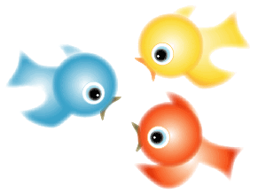 birds - birds flying with eye-capturing colors