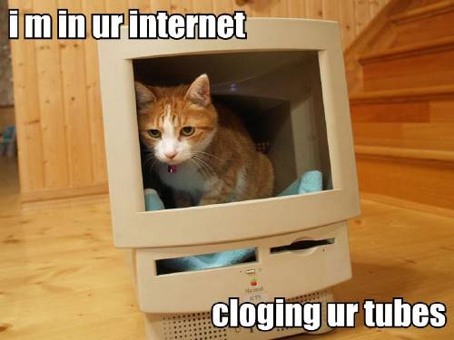 Computer - Just a Funnny Pic