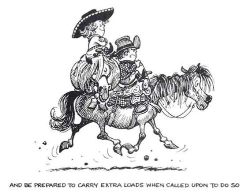 Thanks Thelwell - Thelwell Pony