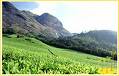 hill stations - hill stations