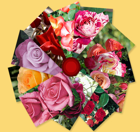 Flower bouquet - Isn't the vase full of flowers nice gift to give to some one special on a full mooon night after a date.. :)