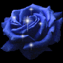 Blur Rose - Blue Rose