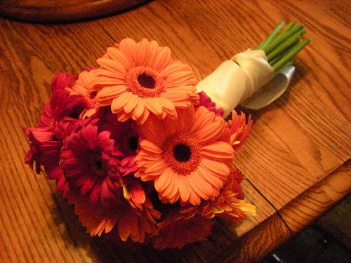 Flowers - My beautiful flowers