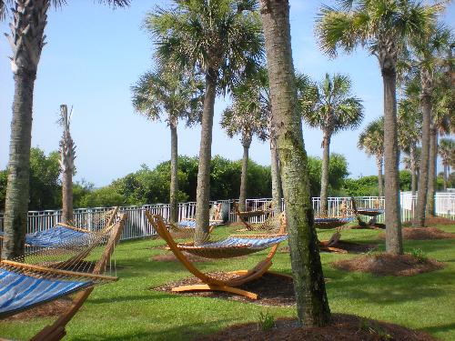 Hammock - Hammock anyone?