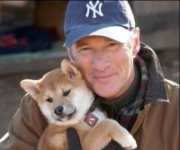 hachiko - hachiko and richard gere