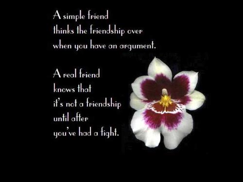 Friends - friendship