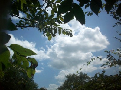 Cloud outside of back window - I took a picture outside my back window and I love it!