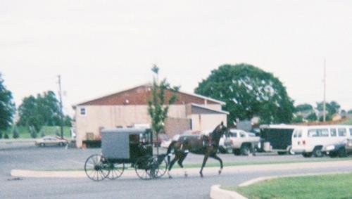Amish Horse and Buggy - Saw this horse and buggy after eating dinner in Lancaster County.