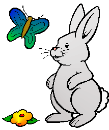 bunny - bunnybunnybunnybunnybunnybunnybunny