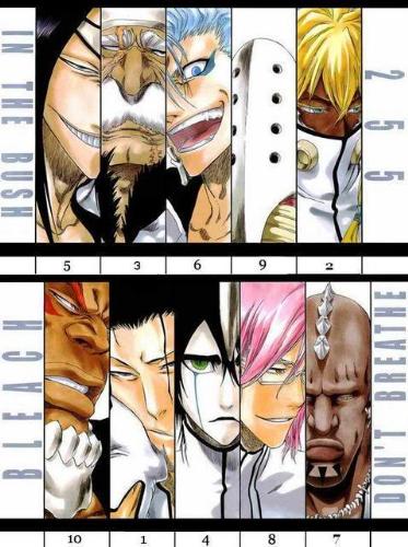 bleach - a must have picture for bleach