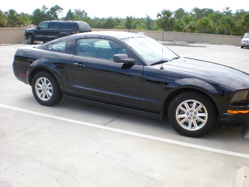 Mustang - Our rental car